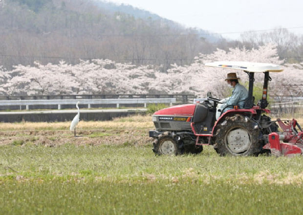 地域に根差したサービス